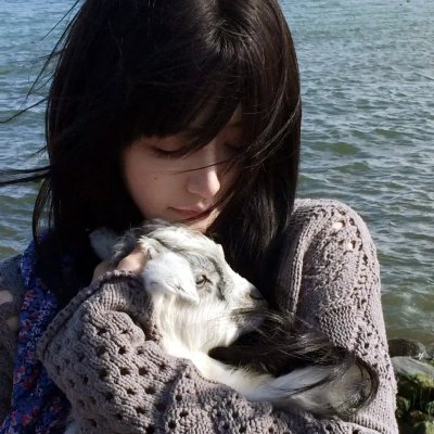 宪法第十三条修正案 海报
