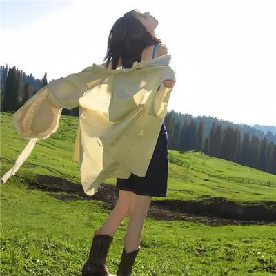 站住！花小姐 海报